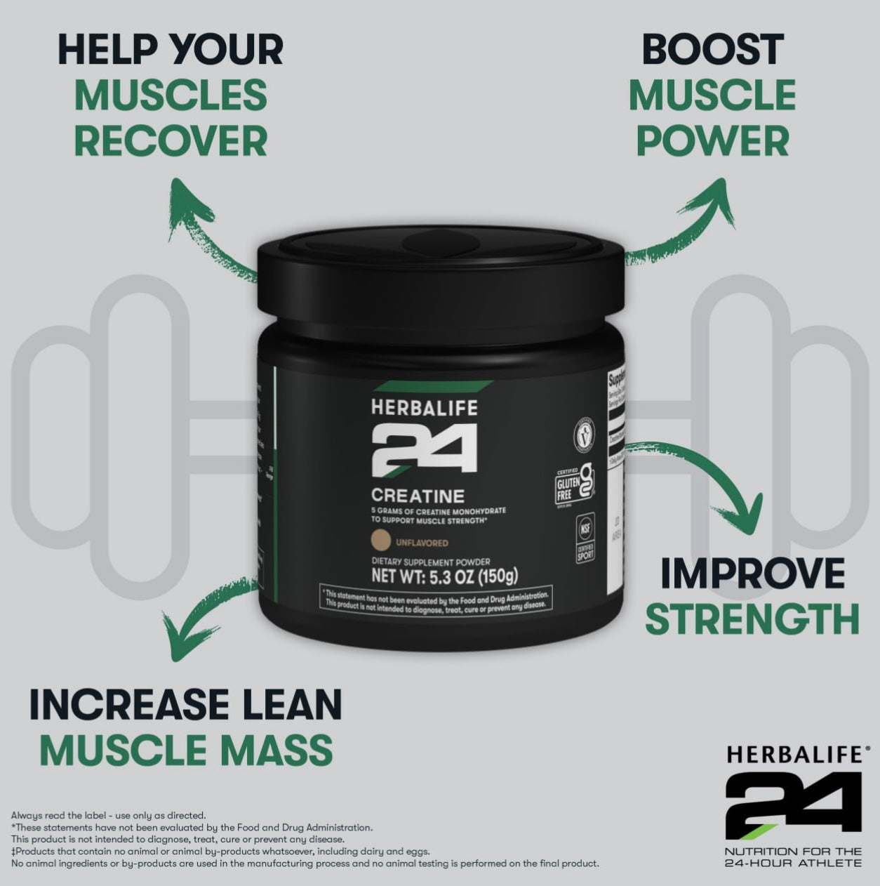 Creatine - Muscle Power